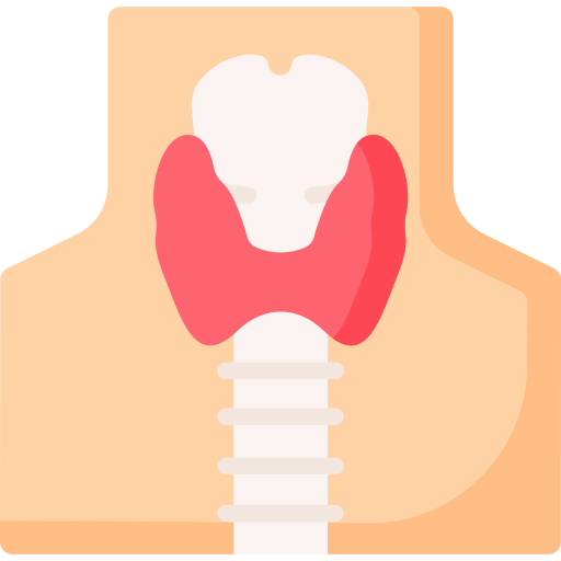 Thyroid